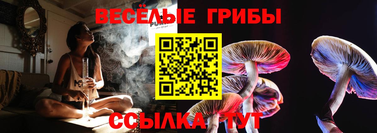 Спасск-Дальний  Псилоцибиновые грибы прущие грибы  Вход с VPN  Псилоцибиновые грибы мицелий 